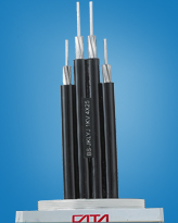 額定電壓0.6/1kv平行集束鋁芯交聯(lián)聚乙烯絕緣架空電纜